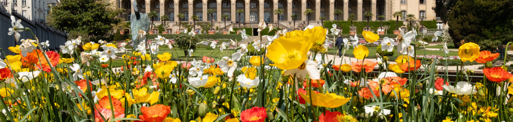 Le Jardin et le Palais Saint-Georges